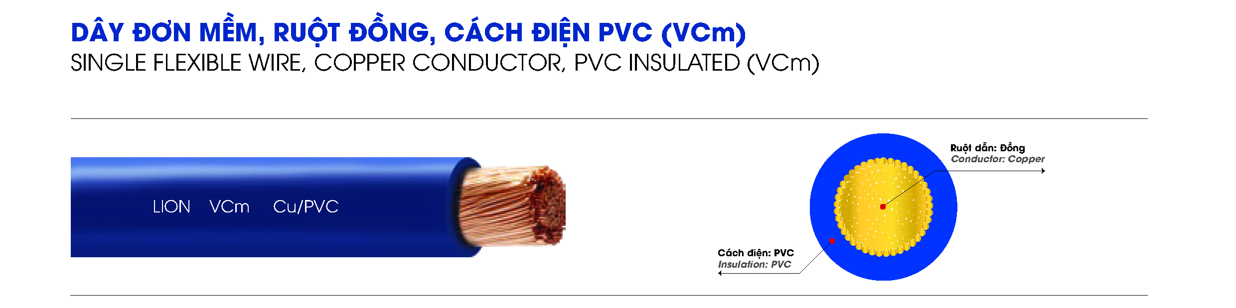 VCm LION DPC
