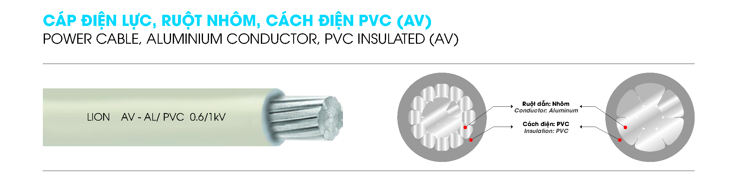 AV LION DPC AV LION DPC