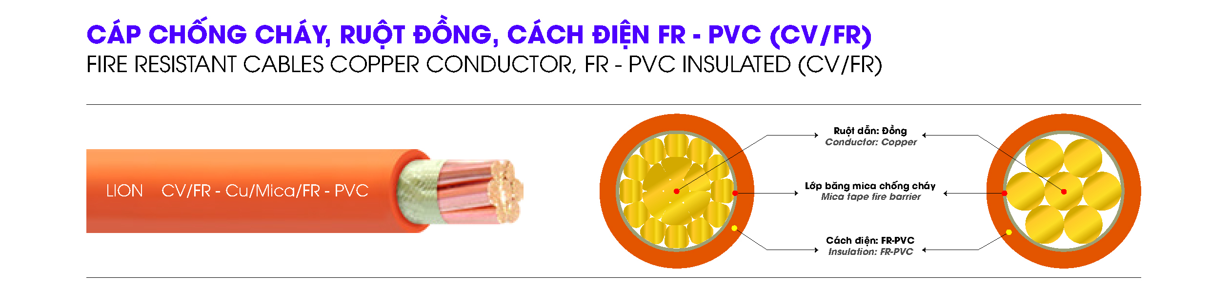CV FR LION DPC