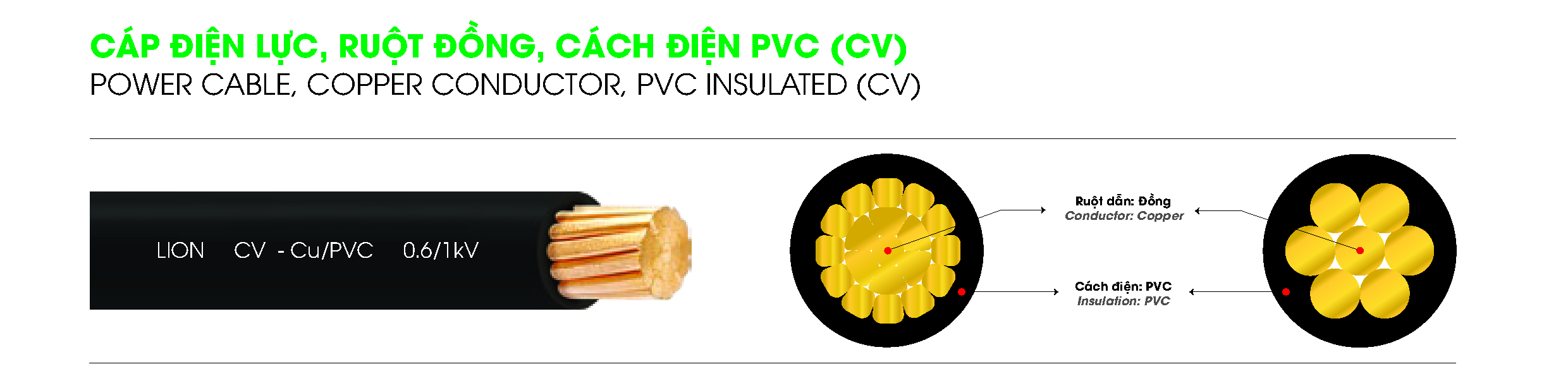 CV LION DPC