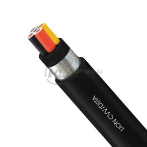 CVV/DATA - CVV/DSTA - Lion