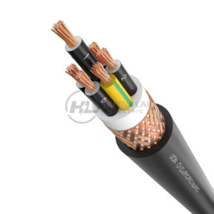 CY - Lion