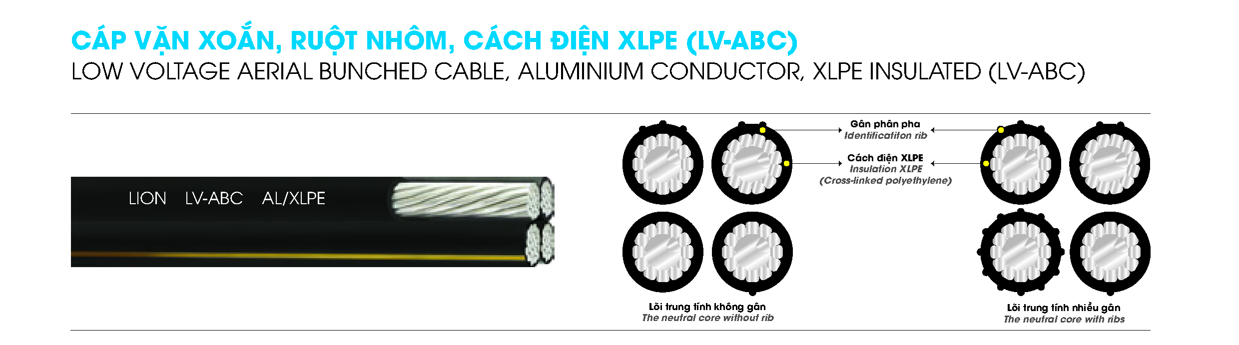 LV ABC LION DPC