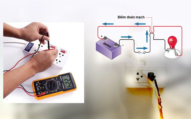 dong cat ngan mach la gi