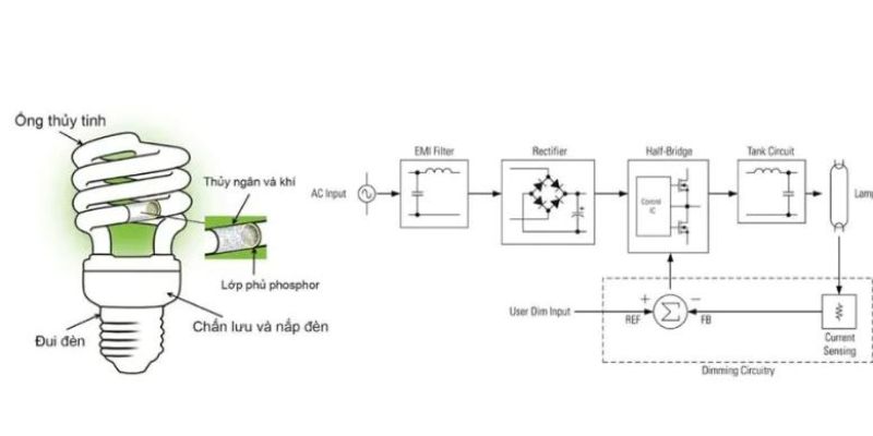dac diem cau tao cua den compact đặc điểm cấu tạo của đèn compact
