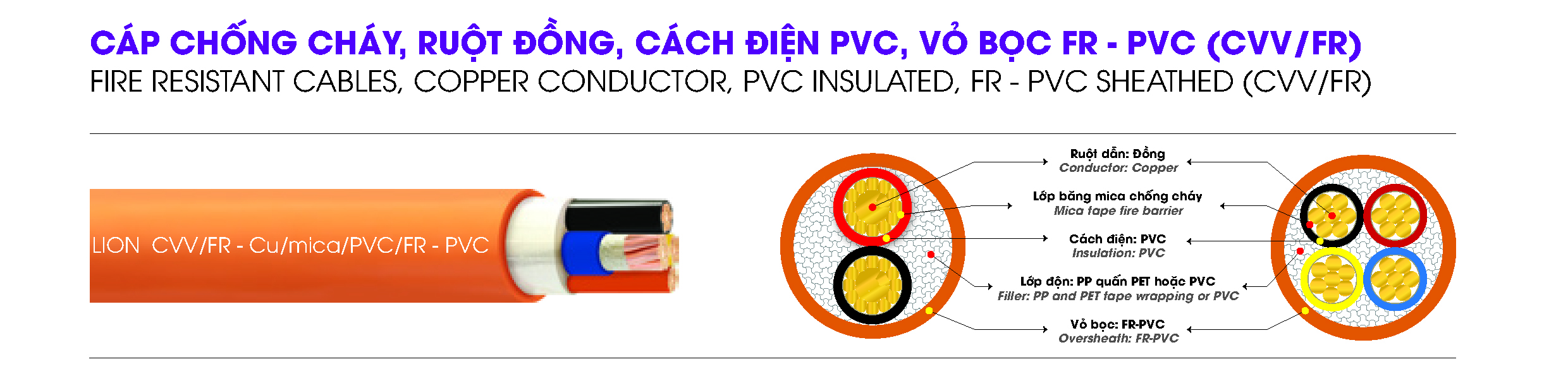 CVV FR LION DPC
