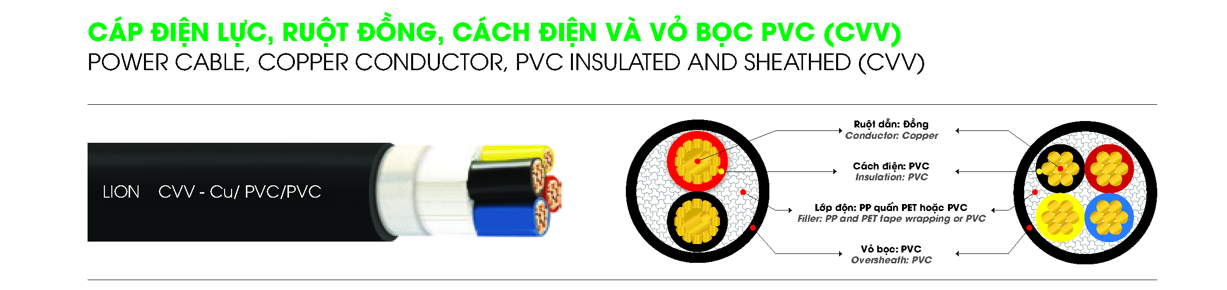 CVV LION DPC