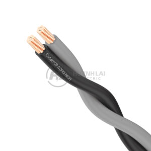 Duplex DuCV LION