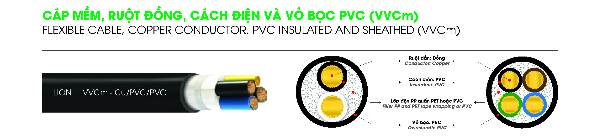 VVCm LION DPC