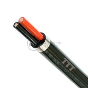 Dây Cáp Điện CVV Tài Trường Thành