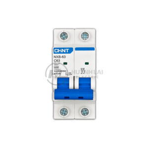 MCB NXB-63 2P CHINT